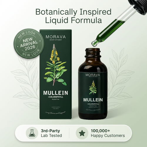 Mullein + Chlorophyll Drops By Morava™