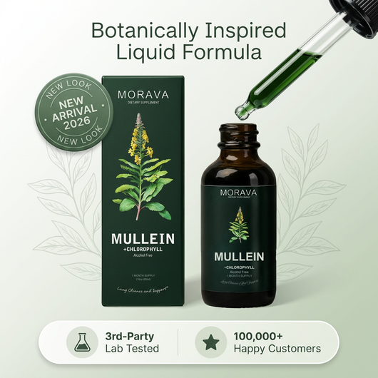 Mullein + Chlorophyll Drops By Morava™