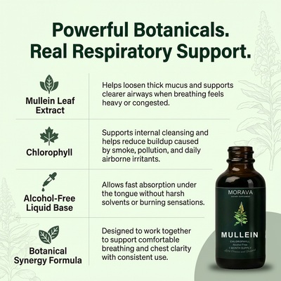 Mullein + Chlorophyll Drops By Morava™