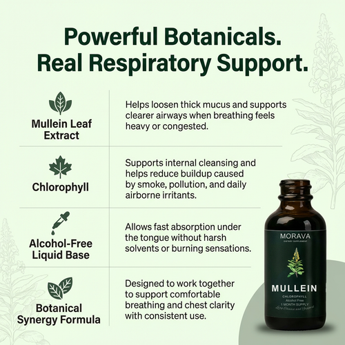 Mullein + Chlorophyll Drops By Morava™