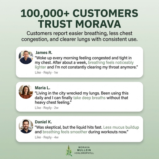 Mullein + Chlorophyll Drops By Morava™