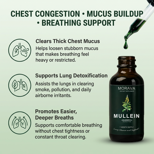 Mullein + Chlorophyll Drops By Morava™