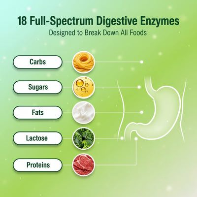 Morava Nutrition Digestive Enzyme