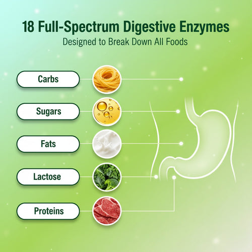 Morava Nutrition Digestive Enzyme