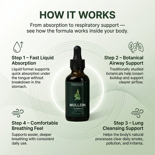 Mullein + Chlorophyll Drops By Morava™