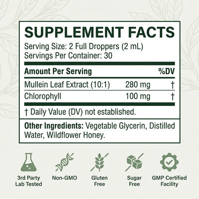 Mullein + Chlorophyll Drops By Morava™